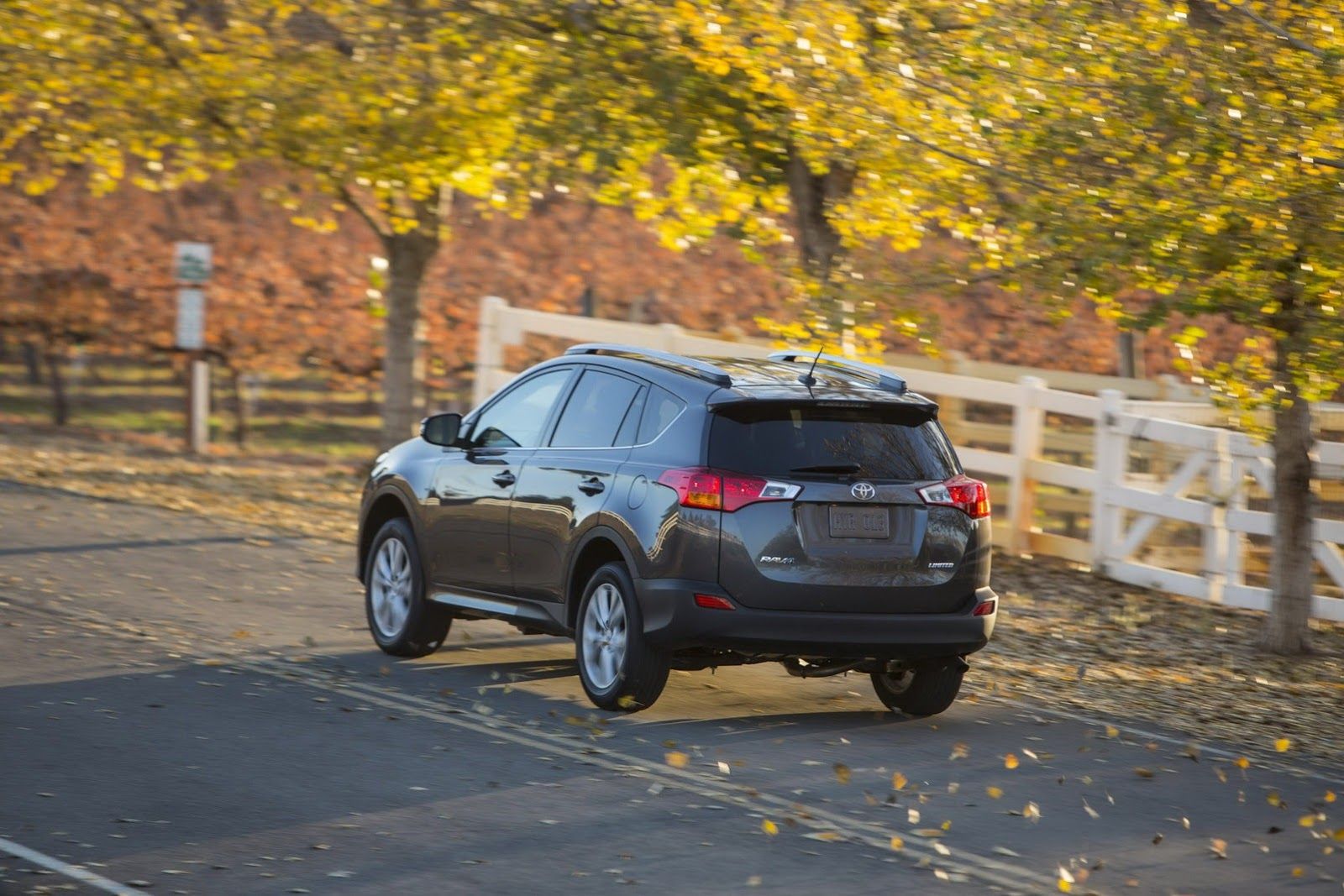 RAV4 8